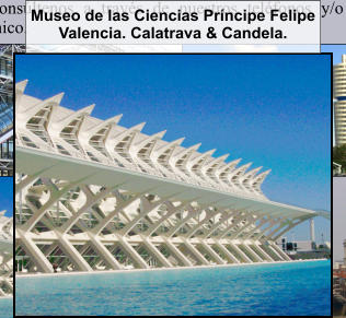 Museo de las Ciencias Prncipe Felipe Valencia. Calatrava & Candela.